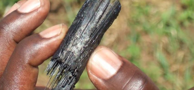 Biochar in Kenya Kenyan biochar