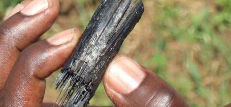 Kenyan biochar