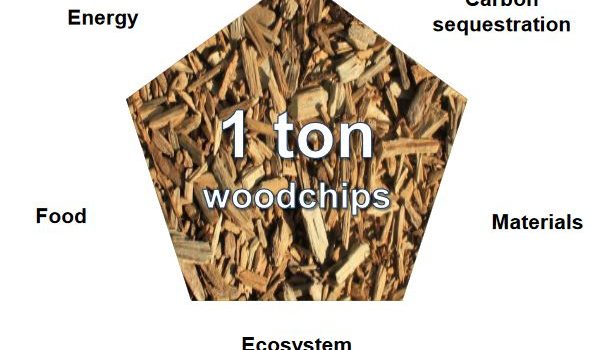 System analysis of biochar production and use in Sweden System analysis of biochar production and use in Sweden