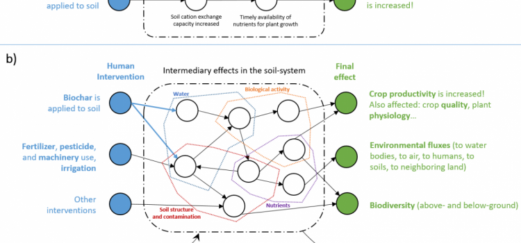 Complexity in biochar agronomic effects