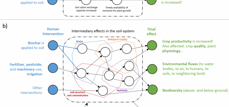 System analysis of biochar production and use in Sweden Complexity in biochar agronomic effects